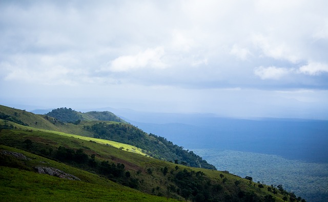 原本被看好 原本被看好