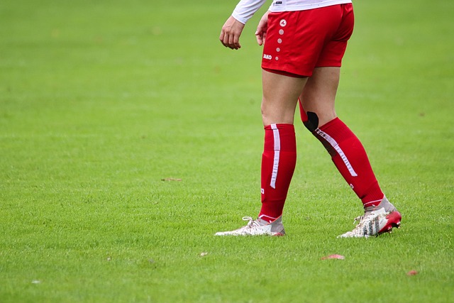 他善于根据 他善于根据