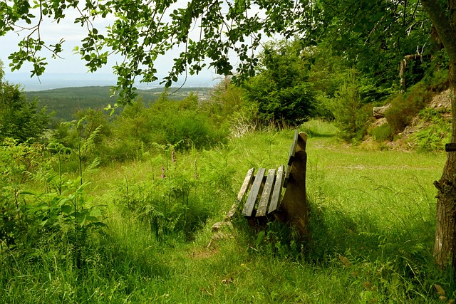 玩家群体 玩家群体