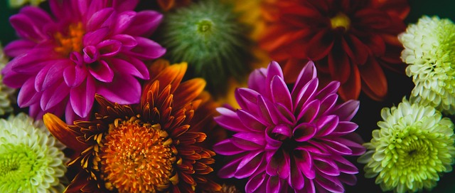 东契奇的天 东契奇的天