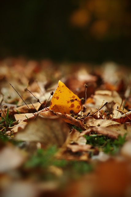 引人入胜 引人入胜