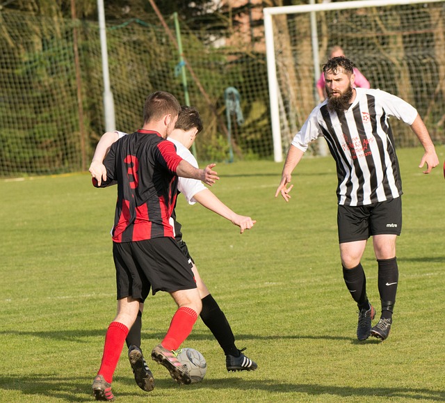 本赛季维蒂 本赛季维蒂