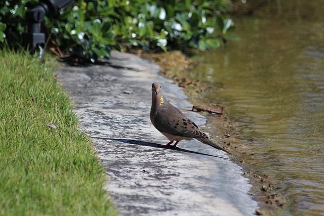 伤病都是不 伤病都是不